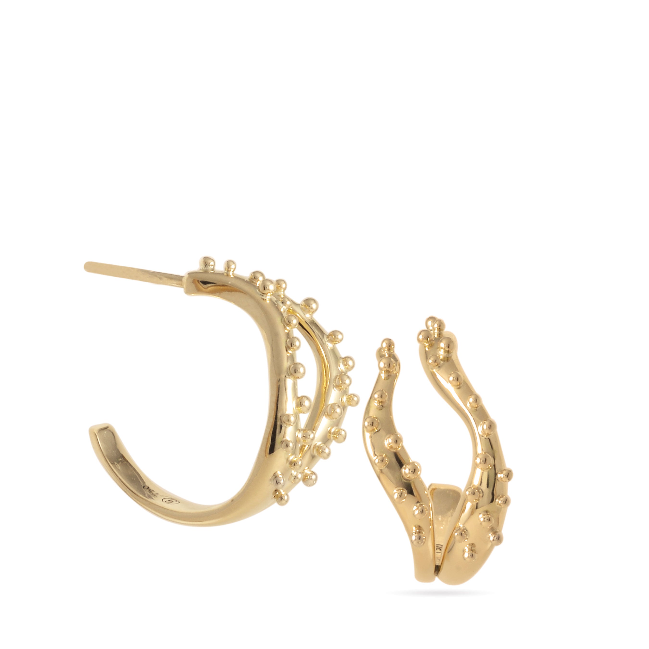 Yellow gold hoops